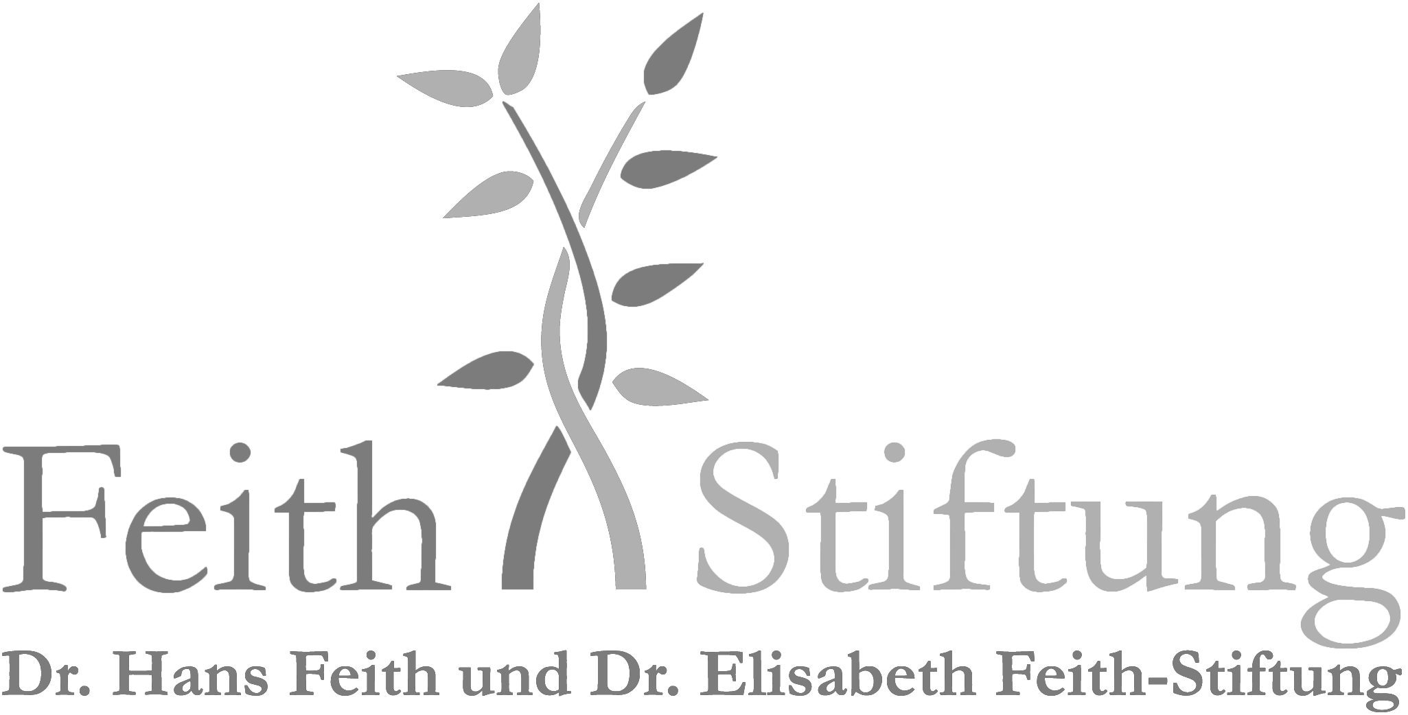 Dr. Hans Feith und Dr. Elisabeth Feith-Stiftung